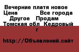 Вечерние платя новое › Цена ­ 3 000 - Все города Другое » Продам   . Томская обл.,Кедровый г.